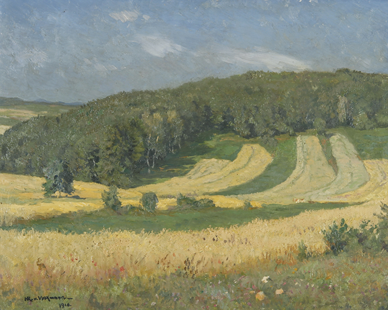 Landschaft mit Kornfeldern im Frühsommer.