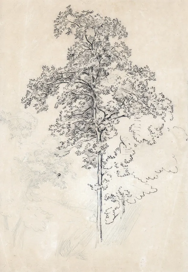 Bernhard Fries - Winterberg | Kunst