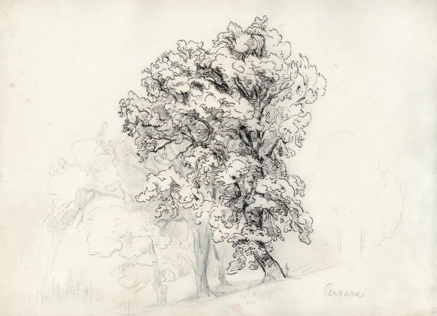 Bernhard Fries - Winterberg | Kunst