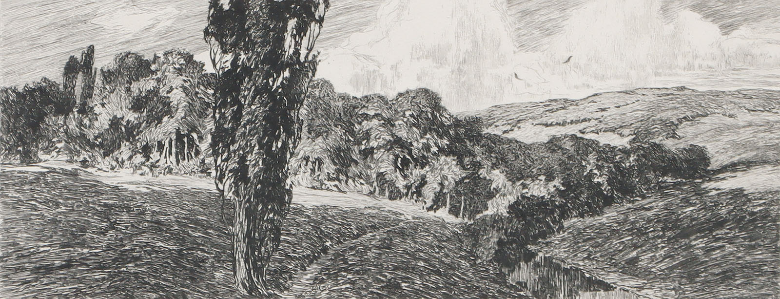 „Waldrand“ – „Überschwemmung“.