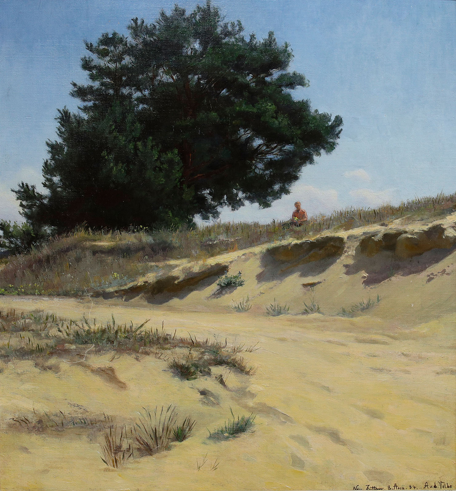 Sommertag bei Neu-Zittau.