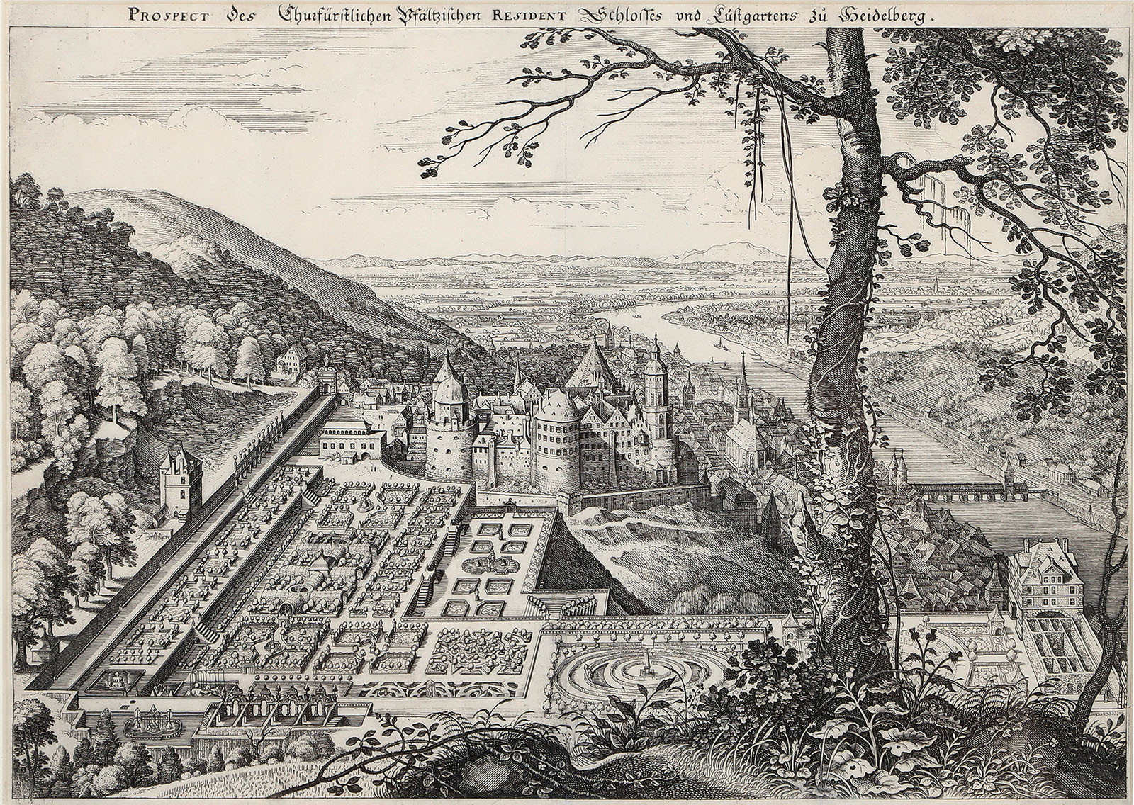 Prospect Des Churfürstlichen Pfältzischen Resident Schlosses und Lustgartens zu Heidelberg.