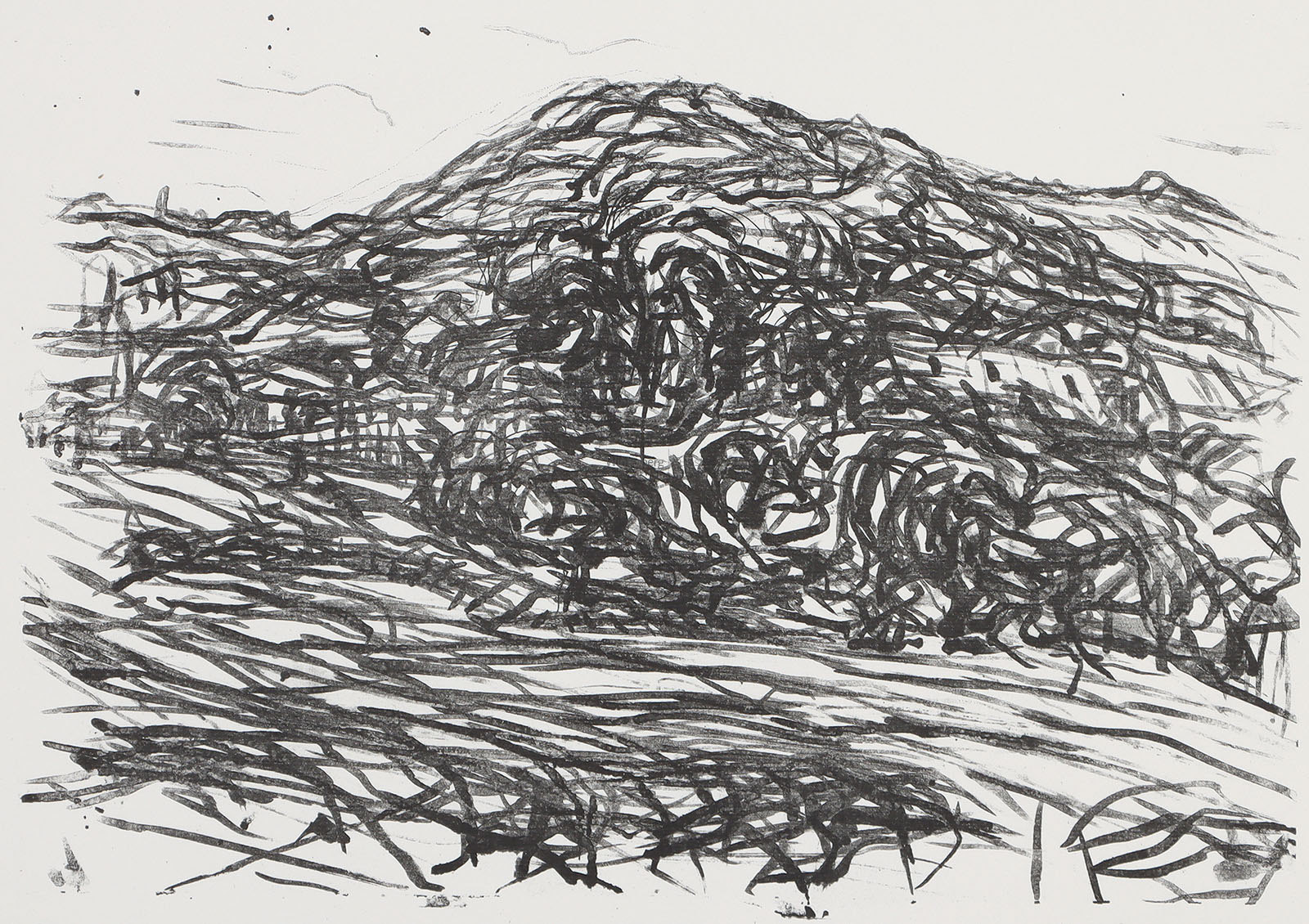 „Hügel bei Coswig“.