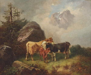 Kühe im Hochgebirge.