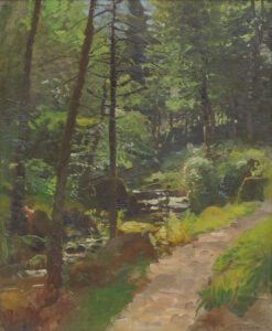 Waldinneres mit einem Bachlauf.