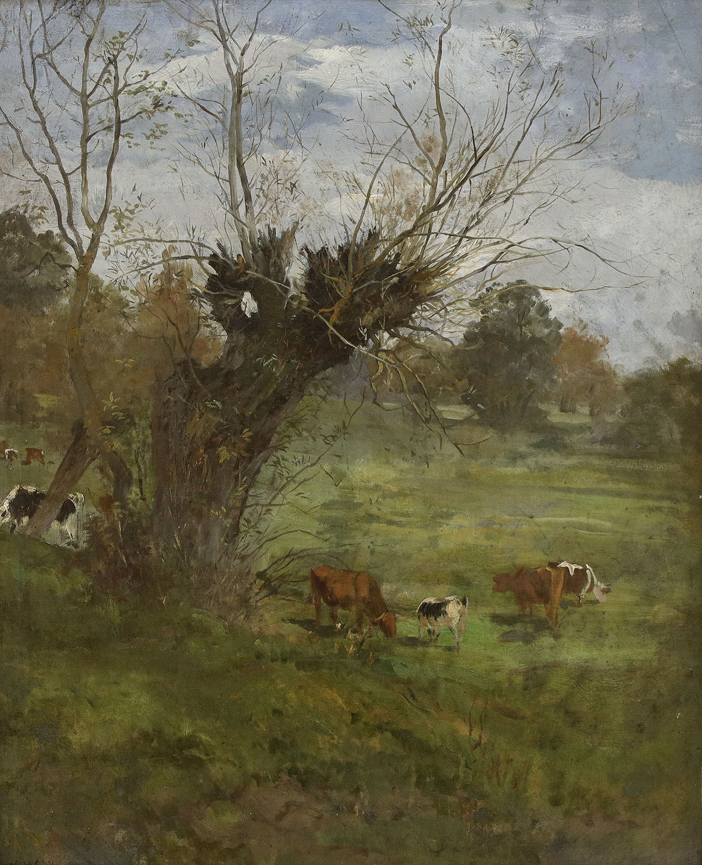 Landschaft mit grasenden Kühen bei einer Kopfweide.