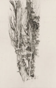 Felsen in der Garnitzenklamm – Fillafer Haus – Doppelpappel.