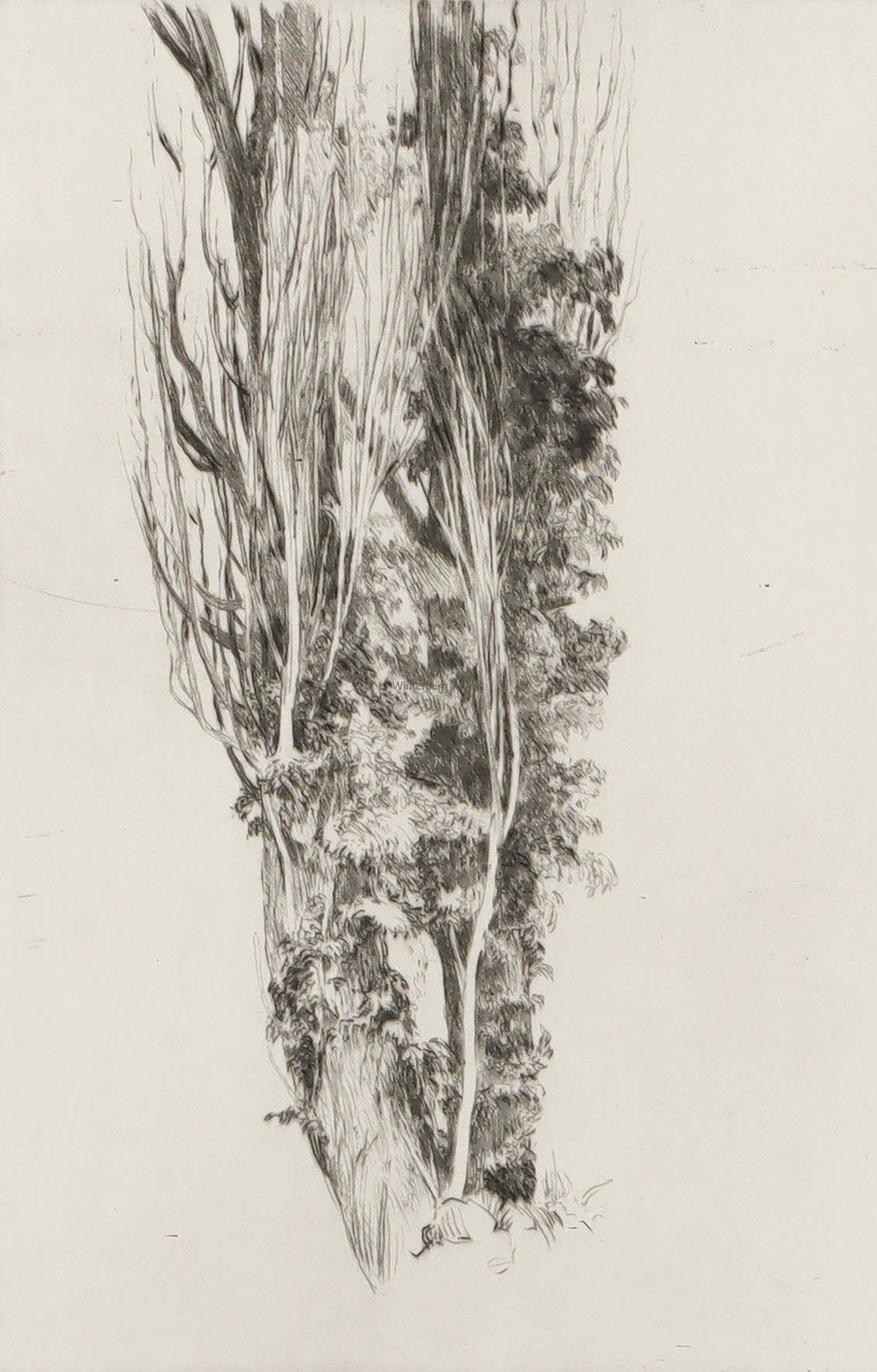 Felsen in der Garnitzenklamm – Fillafer Haus – Doppelpappel.