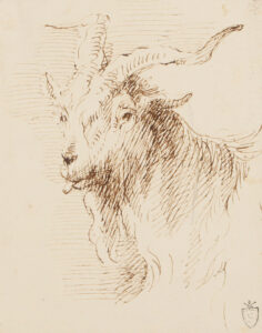 Kopf eines Steinbocks im Dreiviertelprofil nach links.