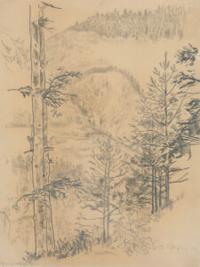 „Schwarzwaldbahn“.