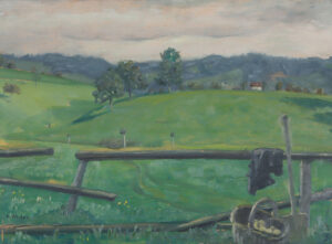 Hügelige Landschaft mit Weidezaun.