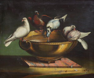 Die Tauben des Plinius.