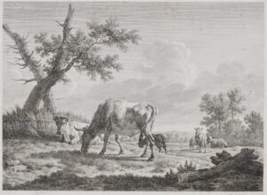 Weidende Kühe und Schafe.