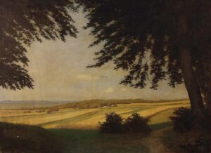Blick durch Bäume auf eine sommerliche Baarlandschaft mit Feldern.